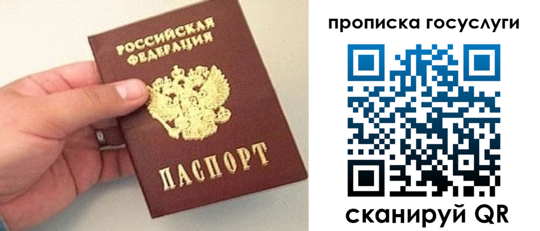 где прописаться в Фролово